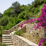 Katerina's * Alónnisos